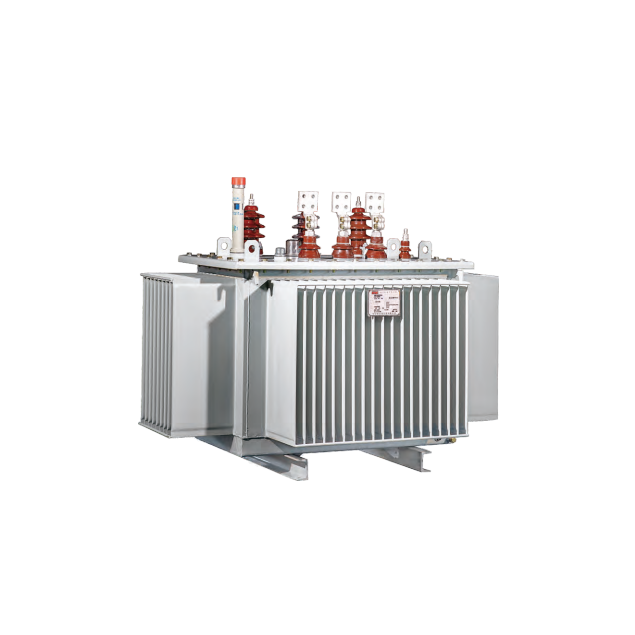 Oil-immersed transformer